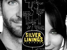 Review: Silver Linings Playbook.