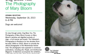 " Dog Bless You" The Photography Of Mary Bloom.