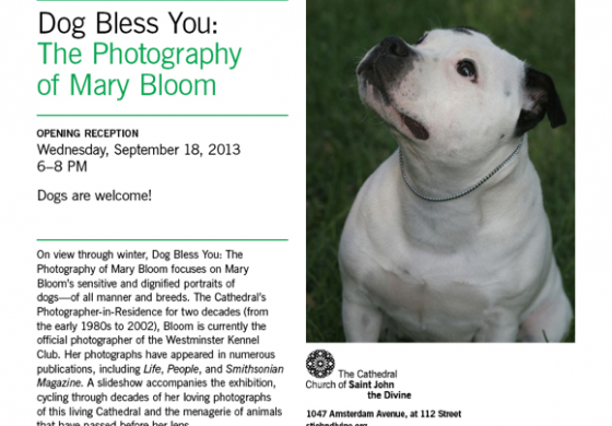 " Dog Bless You" The Photography Of Mary Bloom.