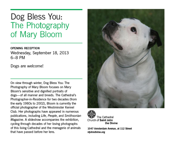 " Dog Bless You" The Photography Of Mary Bloom.