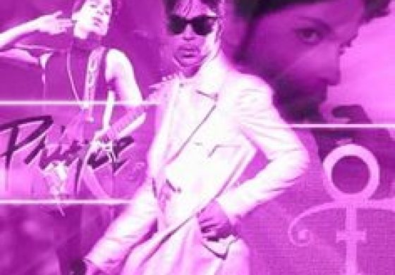 DWTS Please Have A Prince Night.