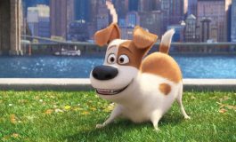 Review:  The Secret Life Of Pets