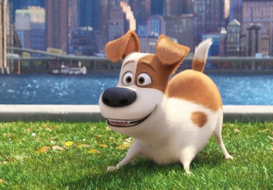 Review:  The Secret Life Of Pets