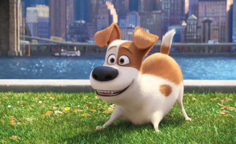 Review:  The Secret Life Of Pets