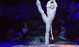 "CATS"- The Purrfect Show For Young Children.