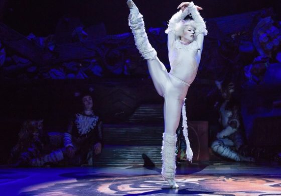 "CATS"- The Purrfect Show For Young Children.