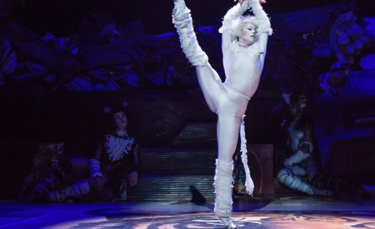 "CATS"- The Purrfect Show For Young Children.