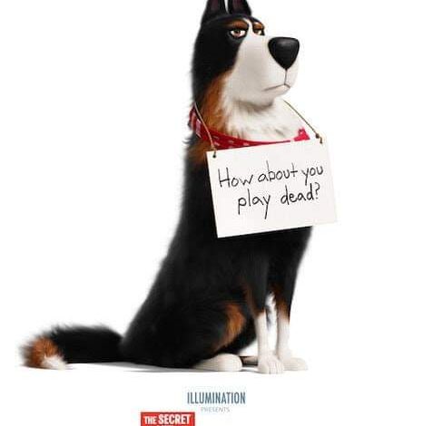 The Secret Life Of Pets 2. 2019 review.