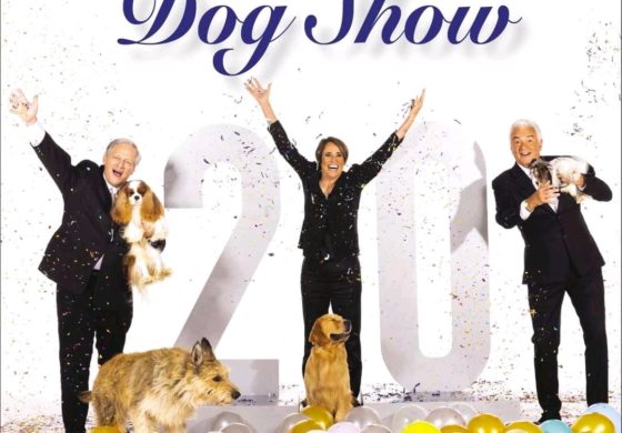 National Dog Show On Thanksgiving!