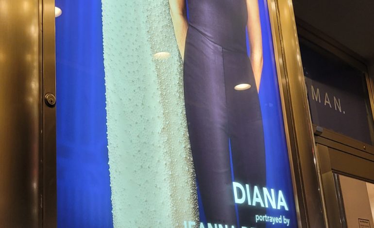 HE SAID SHE SAID... "DIANA."