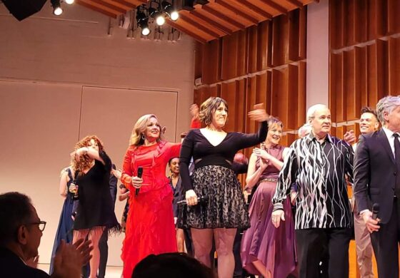 Broadway By The Season Benefit.