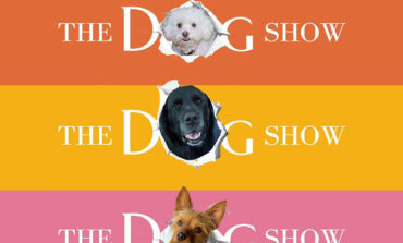 HOW MUCH IS THAT DOGGIE IN THE WINDOW?