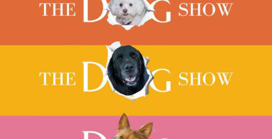 HOW MUCH IS THAT DOGGIE IN THE WINDOW?