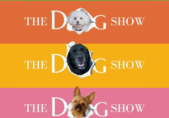 HOW MUCH IS THAT DOGGIE IN THE WINDOW?