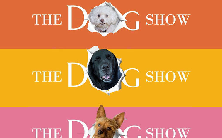 HOW MUCH IS THAT DOGGIE IN THE WINDOW?
